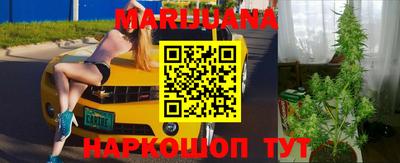 спайс Берёзовский