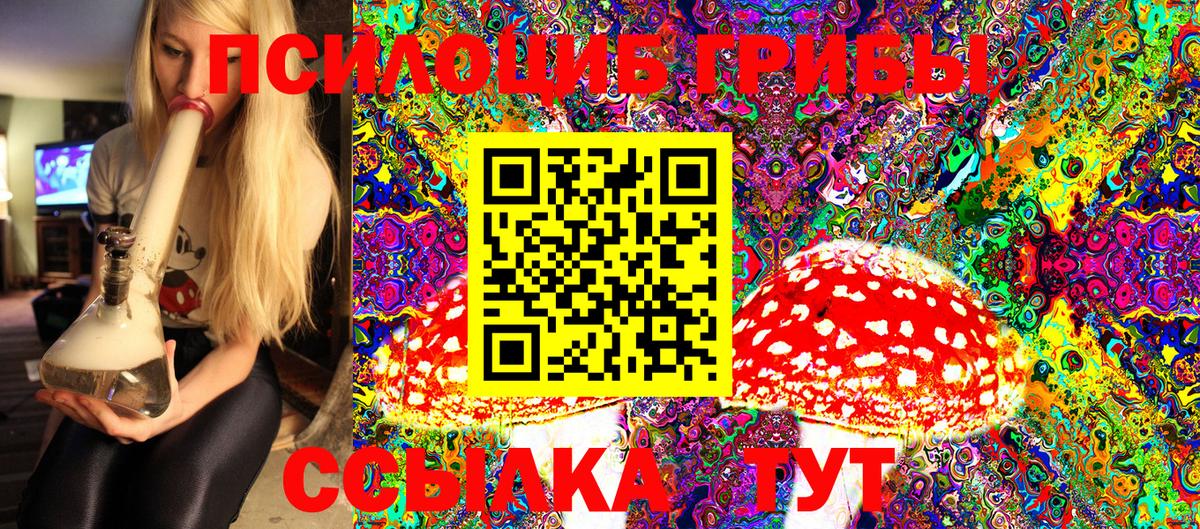 Боровичи  Псилоцибиновые грибы Magic Shrooms  Вход с VPN  Галлюциногенные грибы Magic Shrooms 