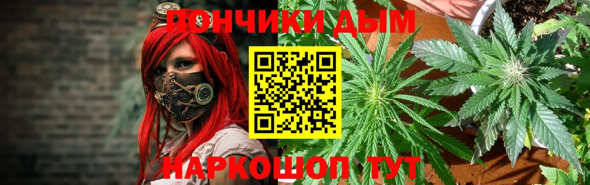Шишки марихуана OG Kush Боровичи